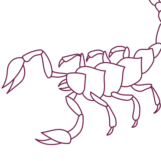 Scorpion
